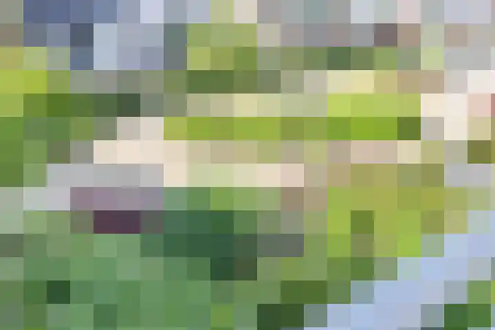 ter Heerdtspad 2 B Vaassen thumbnail 7