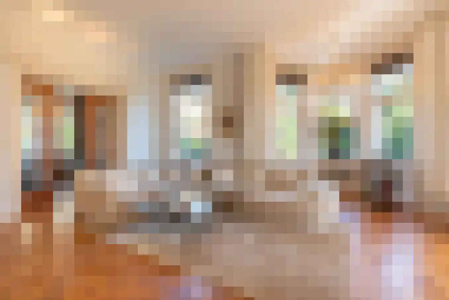Ter Hoffsteedeweg 2 Overveen thumbnail 19