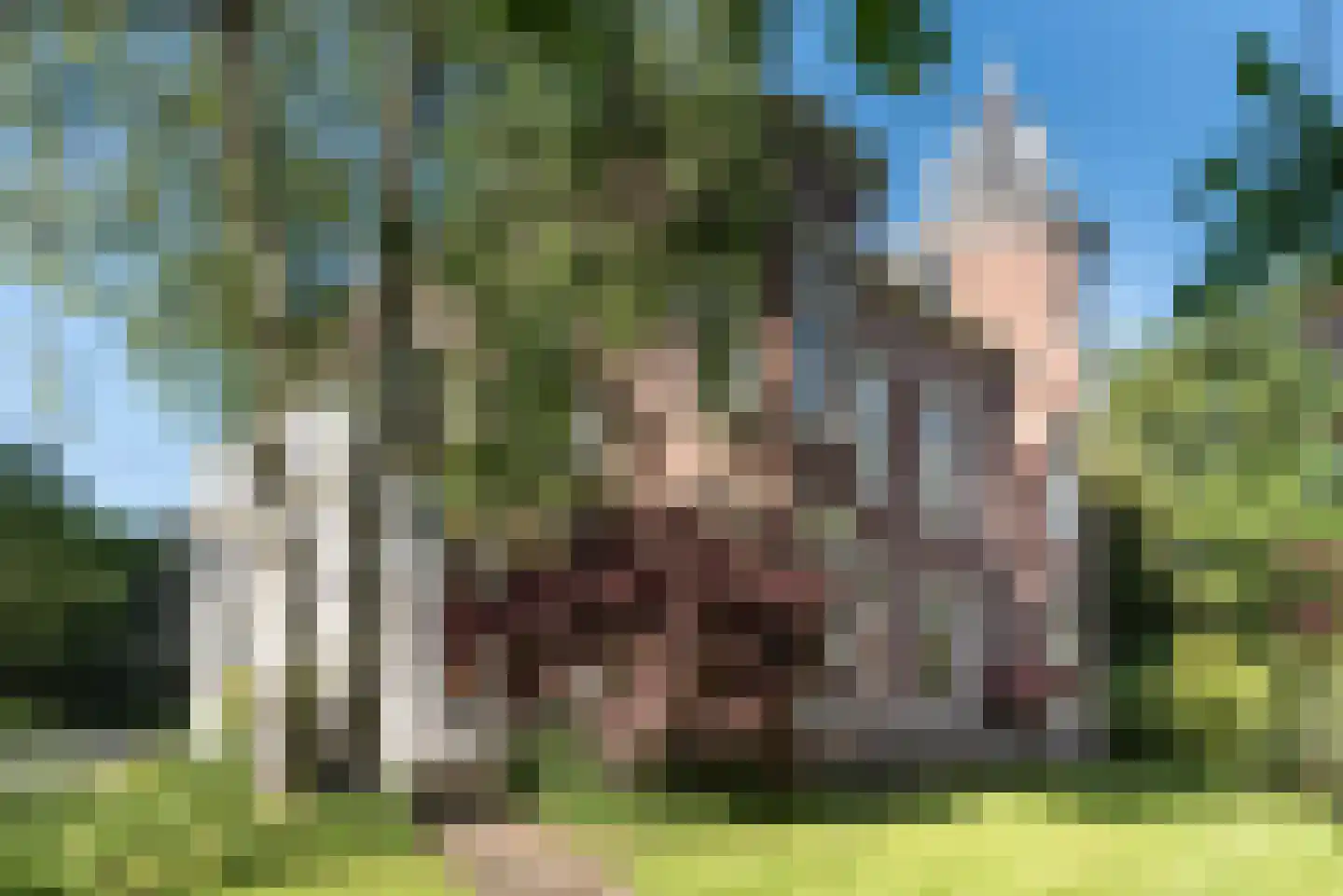 Ter Hoffsteedeweg 2 Overveen thumbnail 59