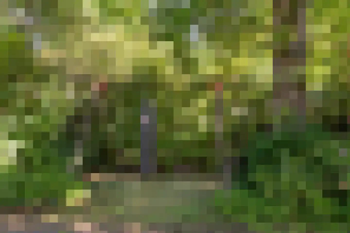 Ter Hoffsteedeweg 2 Overveen thumbnail 64