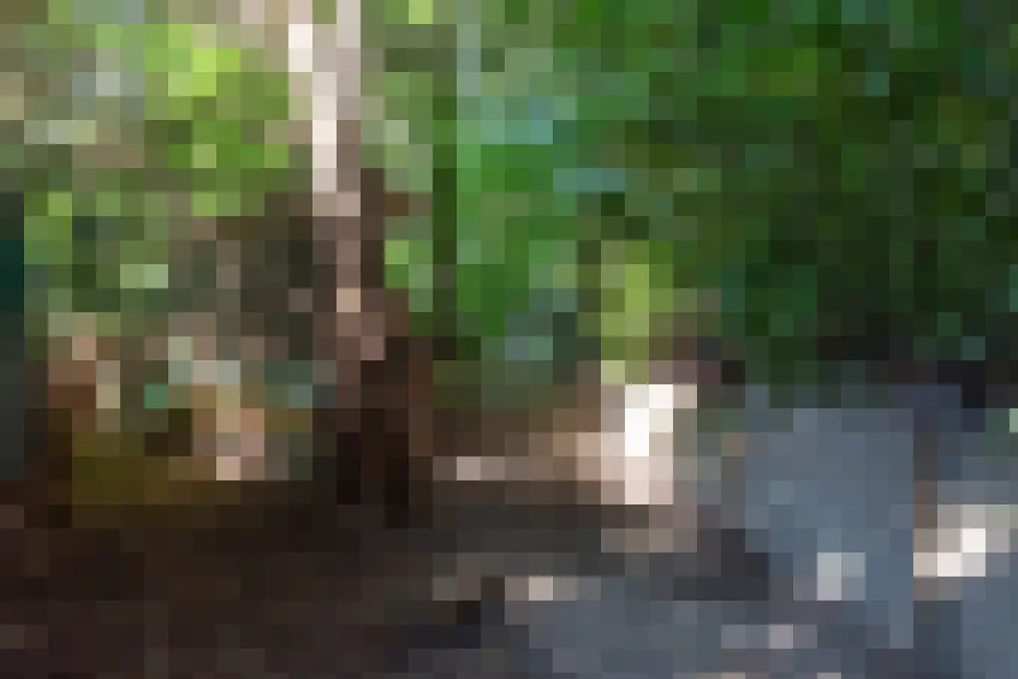 Ter Hoffsteedeweg 2 Overveen thumbnail 67