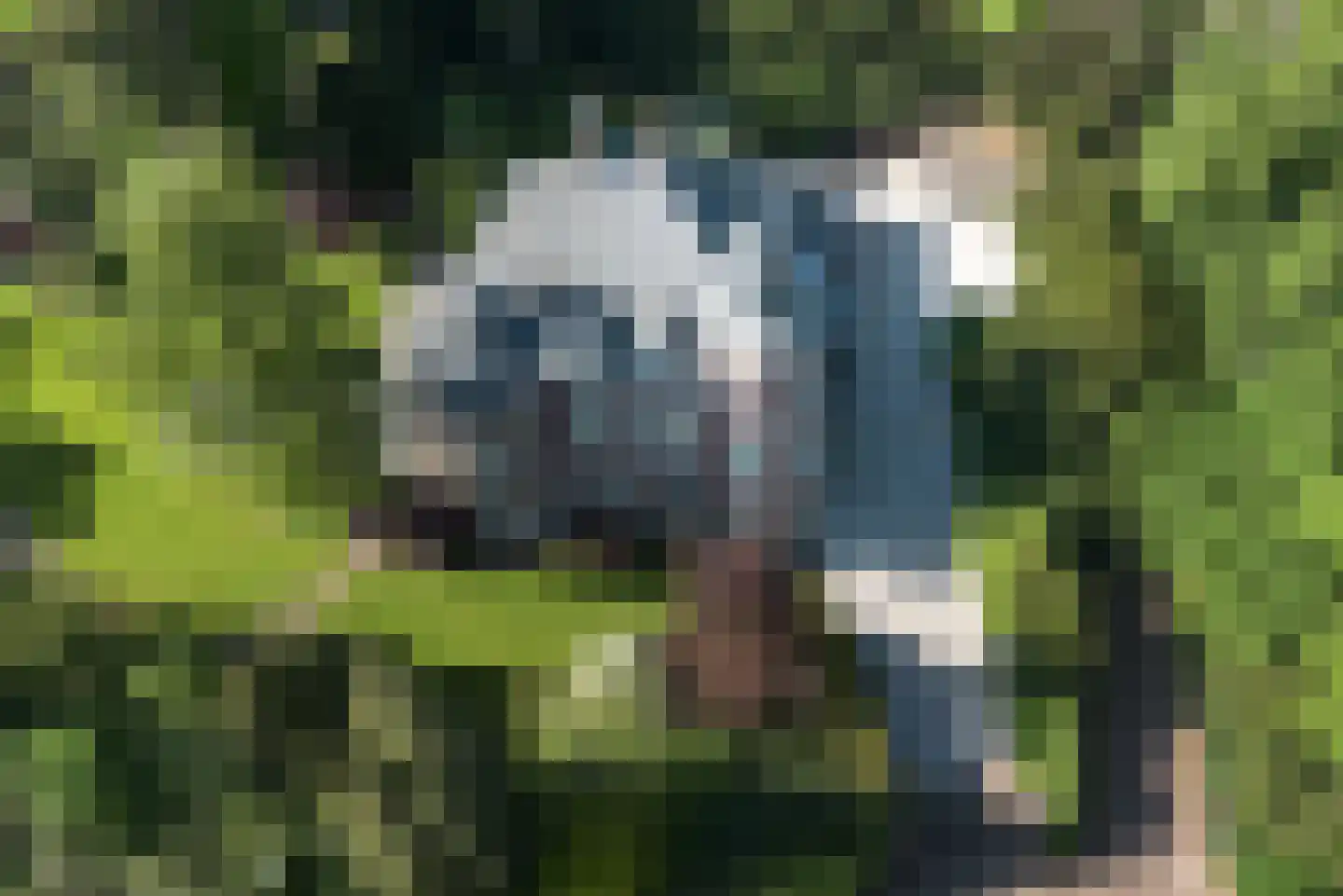 Ter Hoffsteedeweg 2 Overveen thumbnail 72