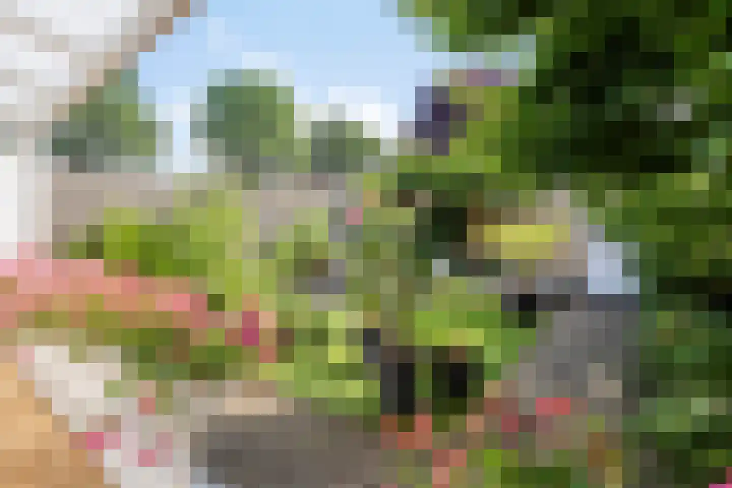 Ter Hofstadlaan 112 Someren thumbnail 30