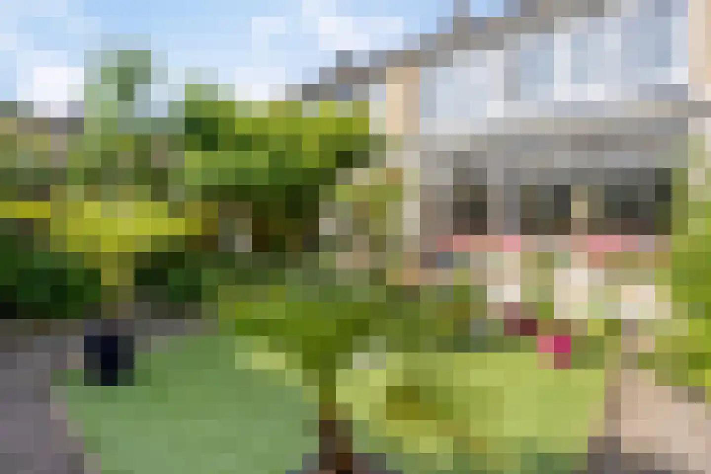 Ter Hofstadlaan 112 Someren thumbnail 31