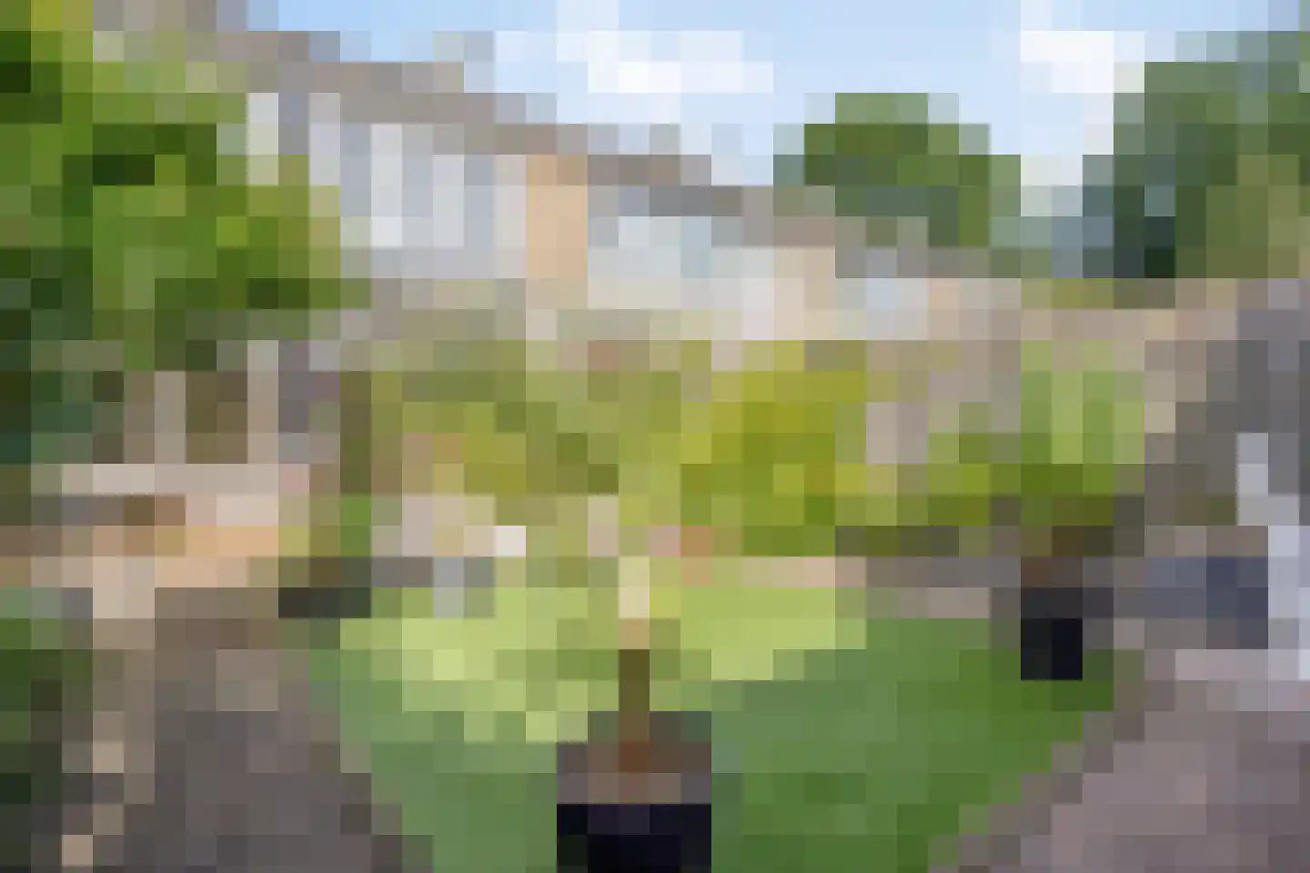 Ter Hofstadlaan 112 Someren thumbnail 32