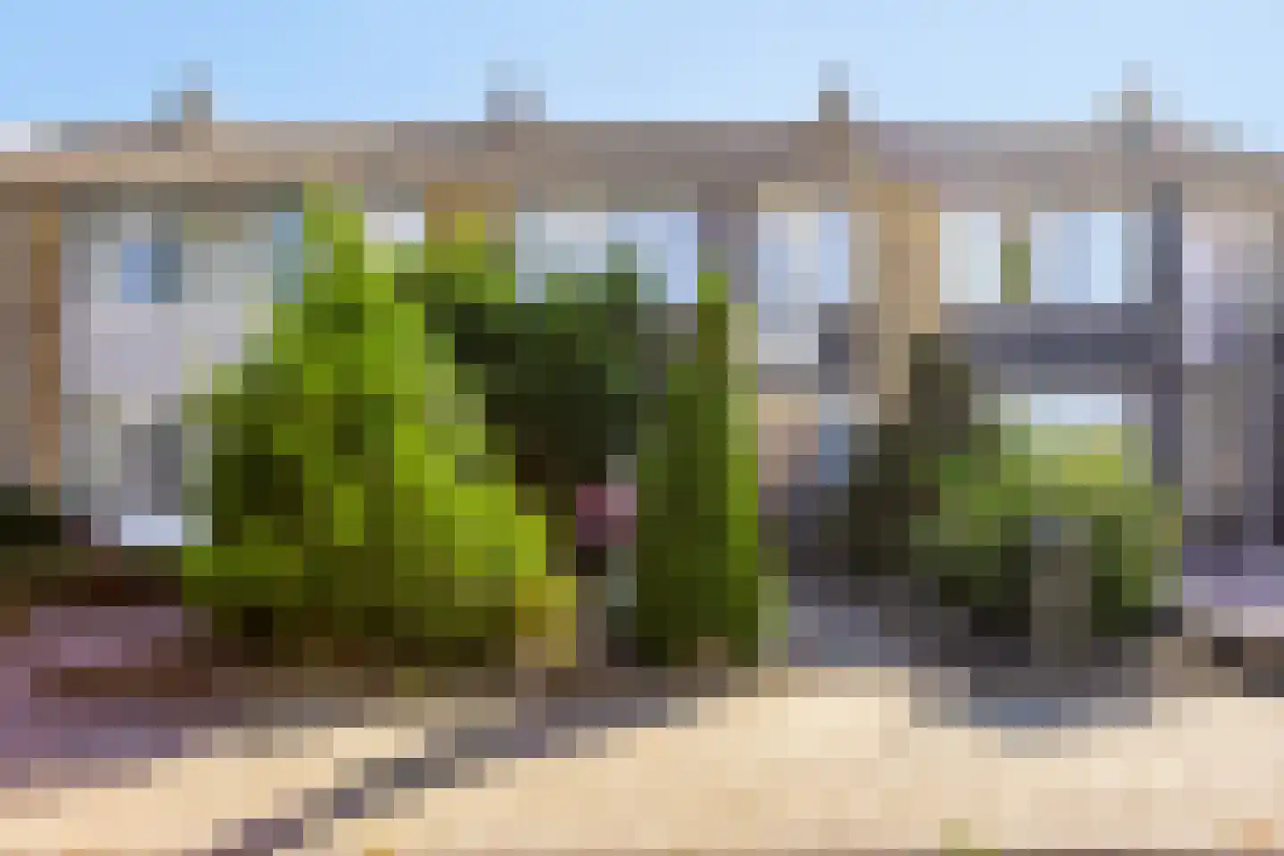 Ter Hofstadlaan 112 Someren thumbnail 5