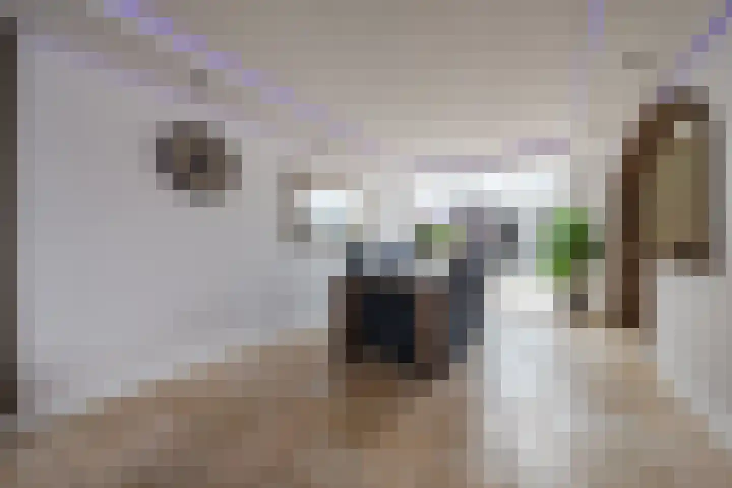 Ter Hofstadlaan 118 Someren thumbnail 10