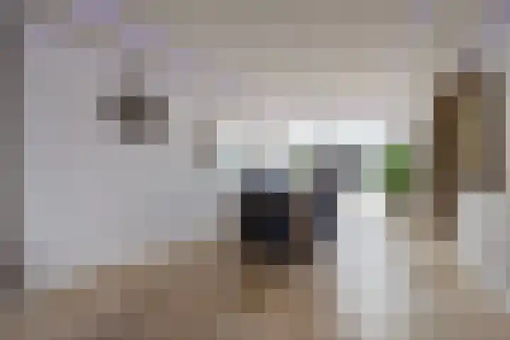 Ter Hofstadlaan 118 Someren thumbnail 10