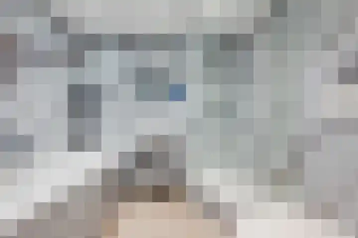 Ter Hofstadlaan 118 Someren thumbnail 25