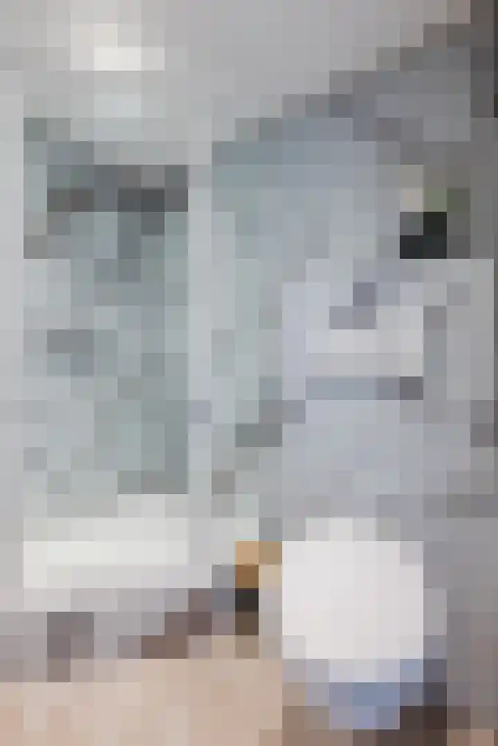 Ter Hofstadlaan 118 Someren thumbnail 27