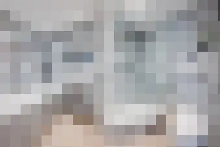 Ter Hofstadlaan 118 Someren thumbnail 28