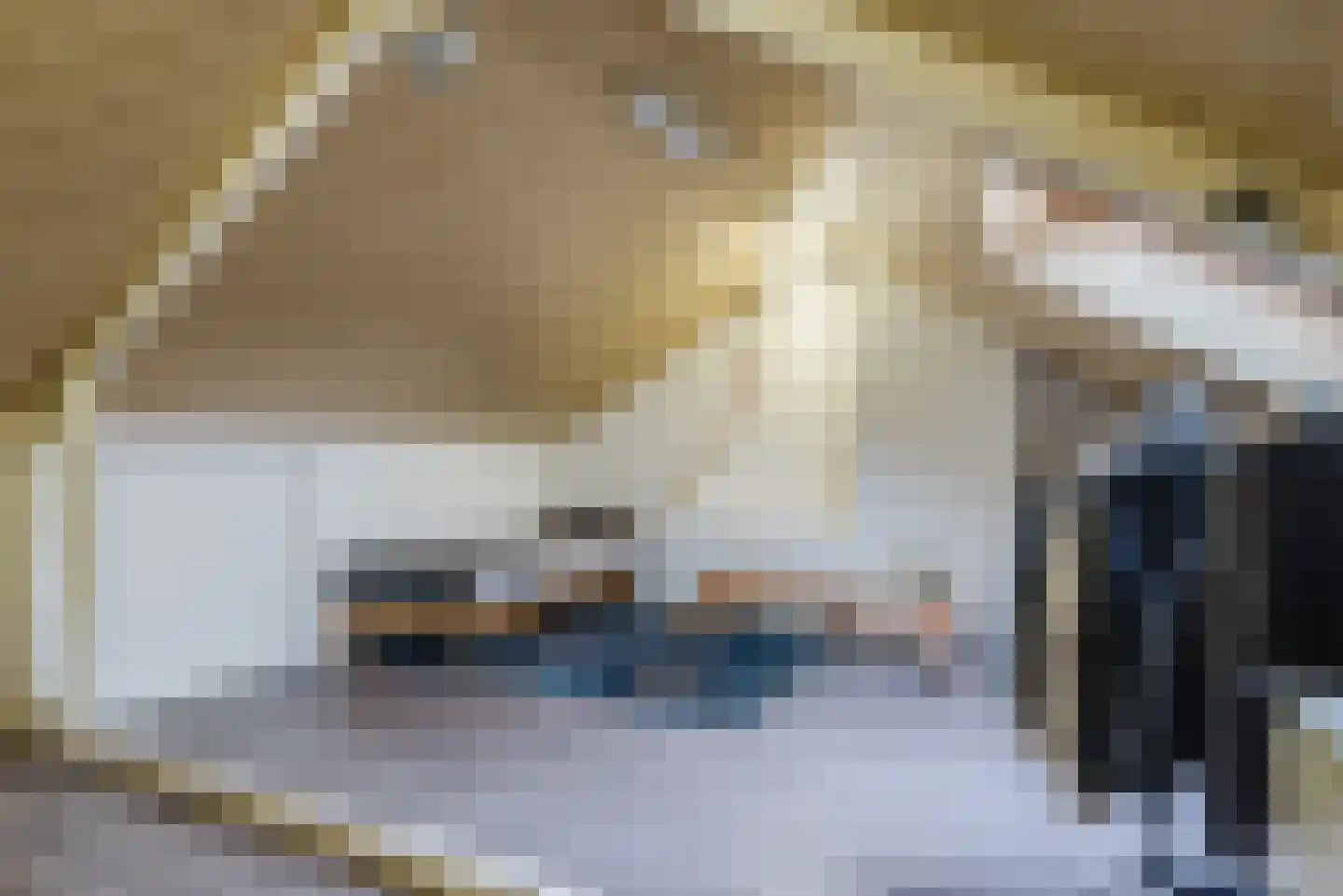 Ter Hofstadlaan 118 Someren thumbnail 29