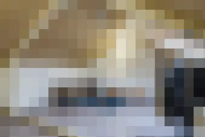 Ter Hofstadlaan 118 Someren thumbnail 29