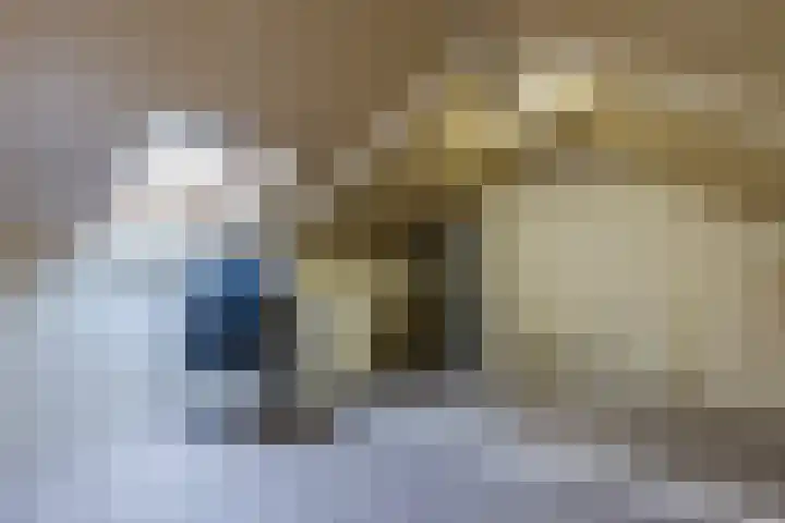 Ter Hofstadlaan 118 Someren thumbnail 30