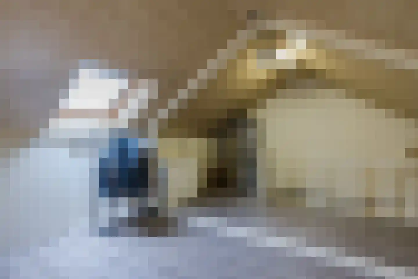 Ter Hofstadlaan 118 Someren thumbnail 30