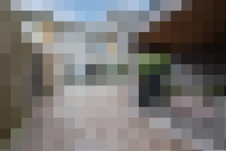 Ter Hofstadlaan 118 Someren thumbnail 35