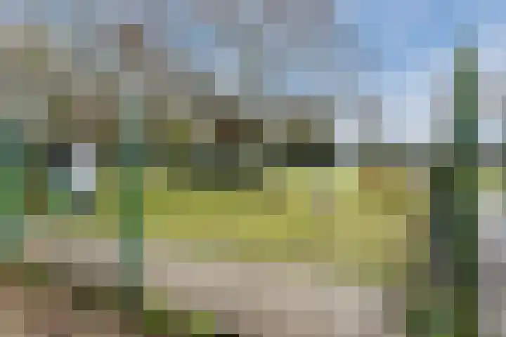 Ter Hofstadlaan 118 Someren thumbnail 38