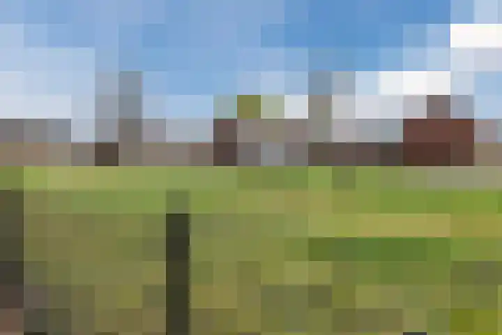 Ter Hofstadlaan 118 Someren thumbnail 39
