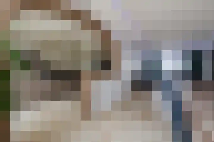 Ter Hofstadlaan 118 Someren thumbnail 7