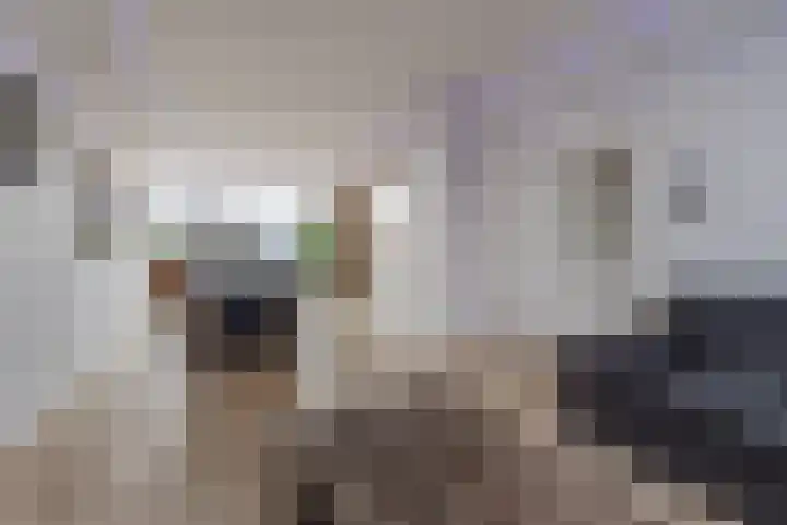 Ter Hofstadlaan 118 Someren thumbnail 9