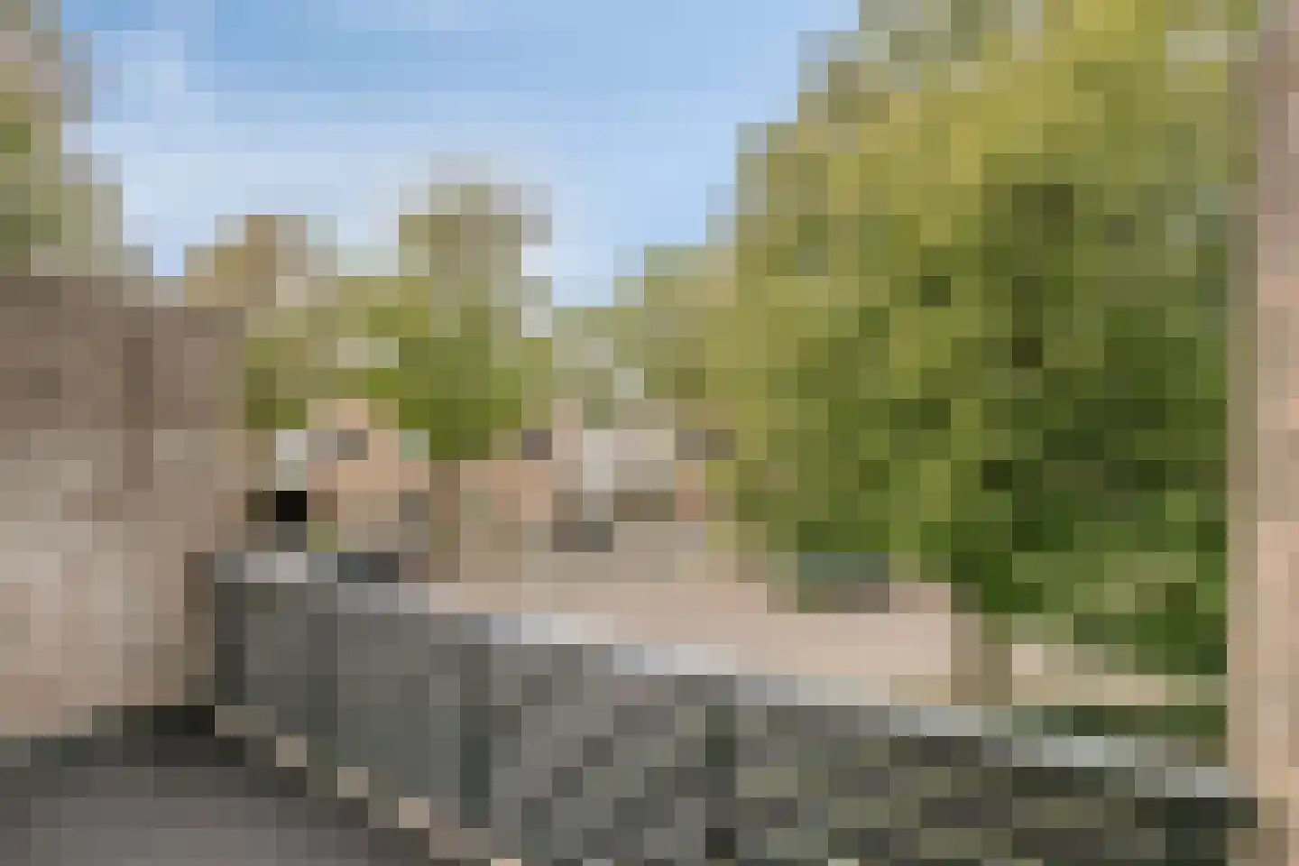 Ter Hofstadlaan 14 Someren thumbnail 13