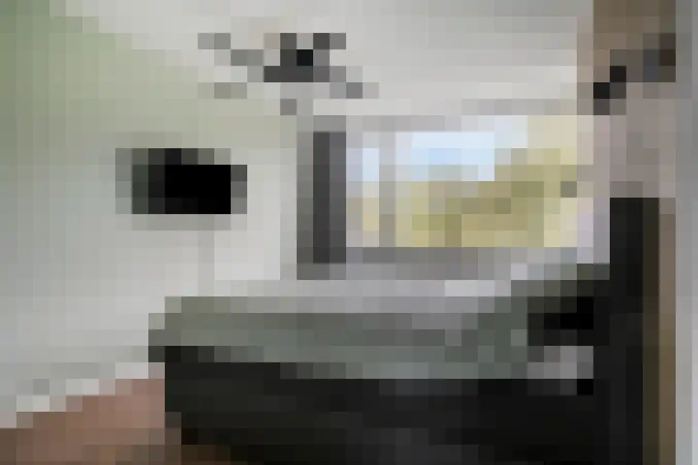 Ter Hofstadlaan 14 Someren thumbnail 21