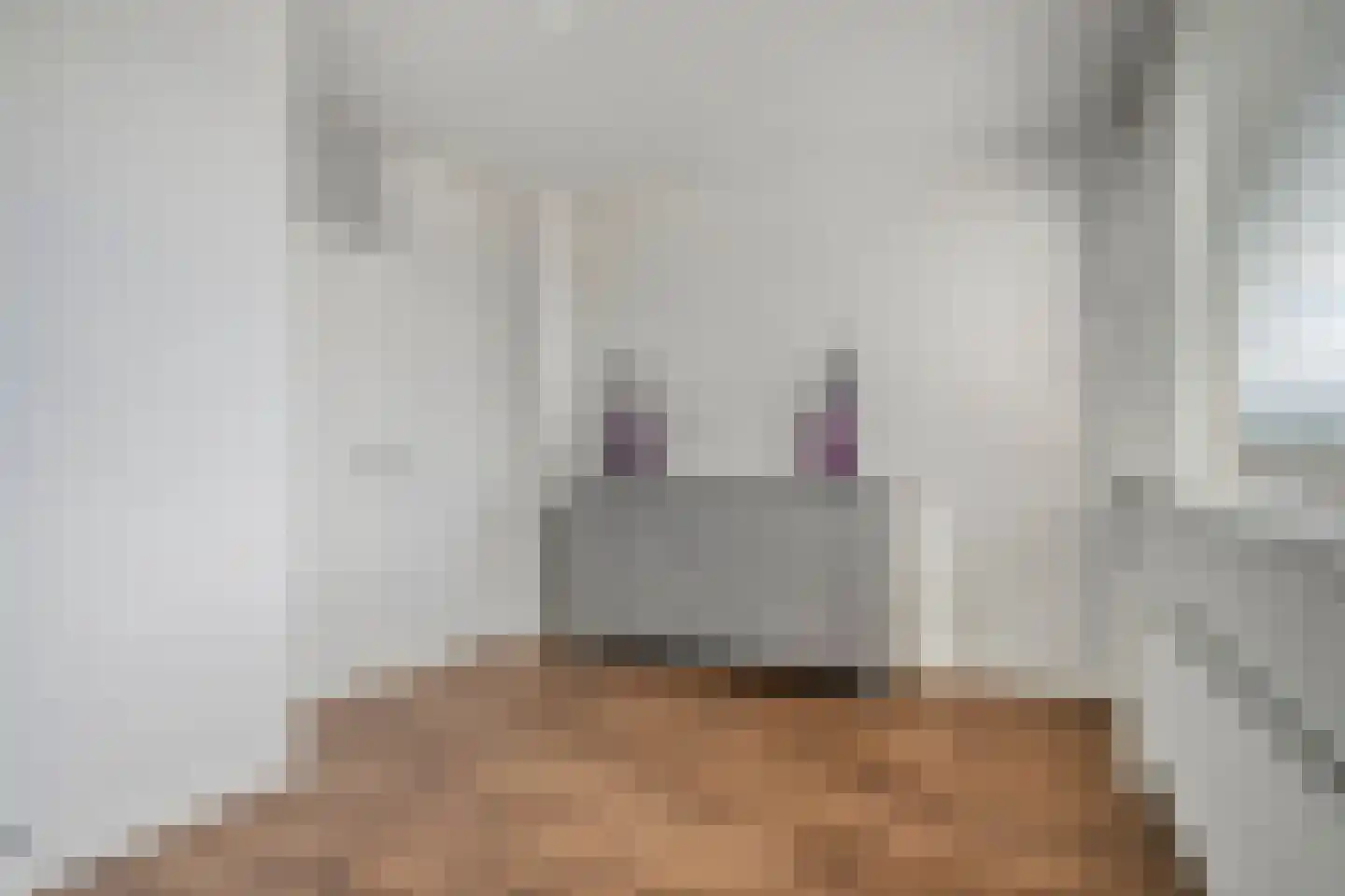 Ter Hofstadlaan 14 Someren thumbnail 24
