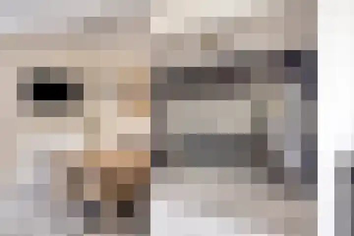 Ter Hofstadlaan 18 Someren thumbnail 10