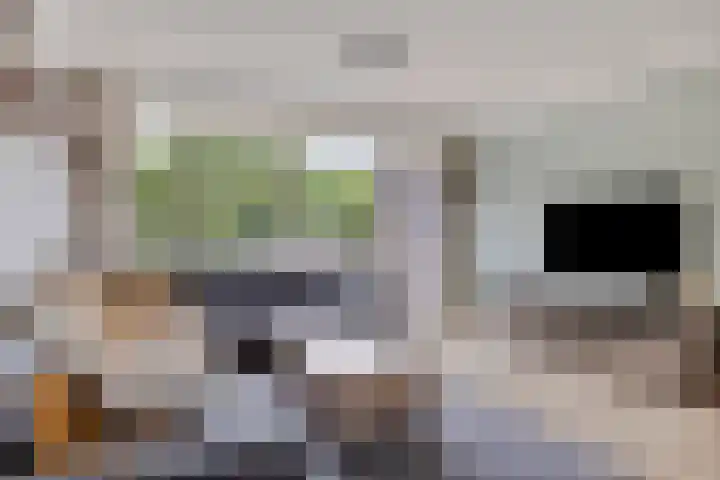 Ter Hofstadlaan 18 Someren thumbnail 16