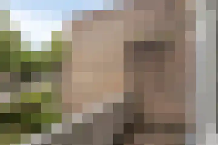 Ter Hofstadlaan 18 Someren thumbnail 18