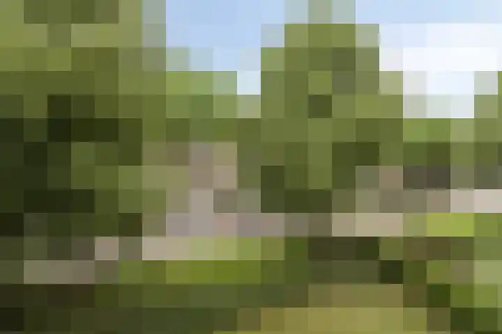 Ter Hofstadlaan 18 Someren thumbnail 19