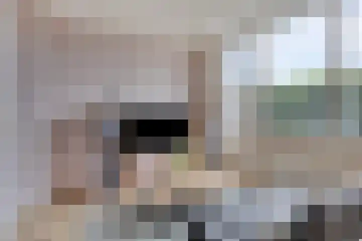 Ter Hofstadlaan 18 Someren thumbnail 21