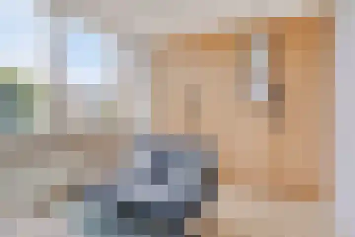 Ter Hofstadlaan 18 Someren thumbnail 22
