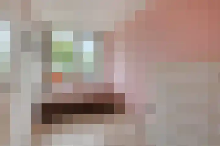 Ter Hofstadlaan 18 Someren thumbnail 26