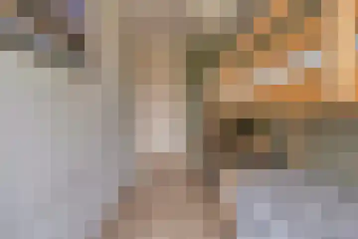 Ter Hofstadlaan 18 Someren thumbnail 29
