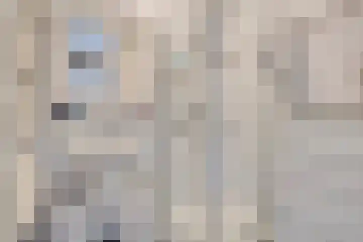 Ter Hofstadlaan 18 Someren thumbnail 30