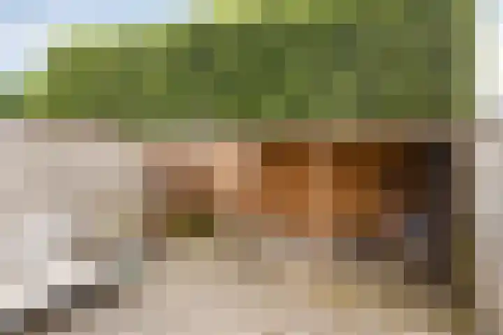 Ter Hofstadlaan 18 Someren thumbnail 32