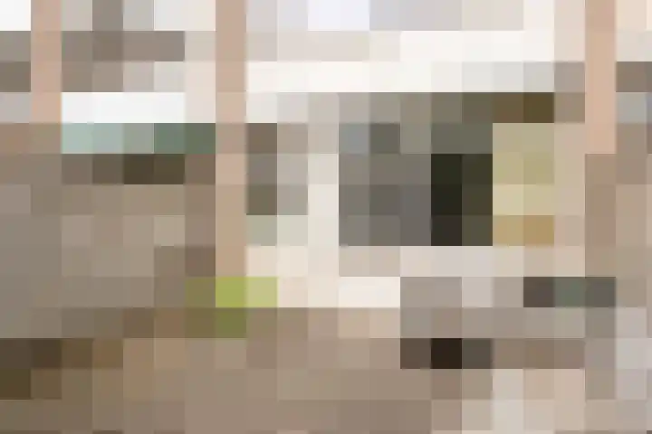 Ter Hofstadlaan 18 Someren thumbnail 33
