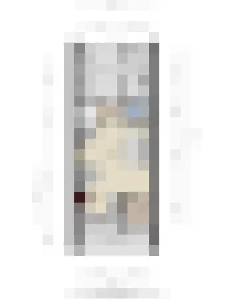 Ter Hofstadlaan 18 Someren thumbnail 34