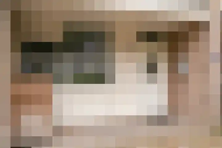 Ter Hofstadlaan 18 Someren thumbnail 5