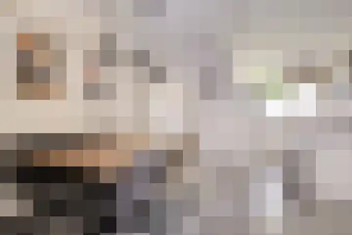 Ter Hofstadlaan 18 Someren thumbnail 7