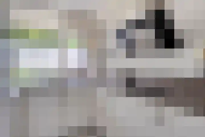 Ter Hofstadlaan 18 Someren thumbnail 8