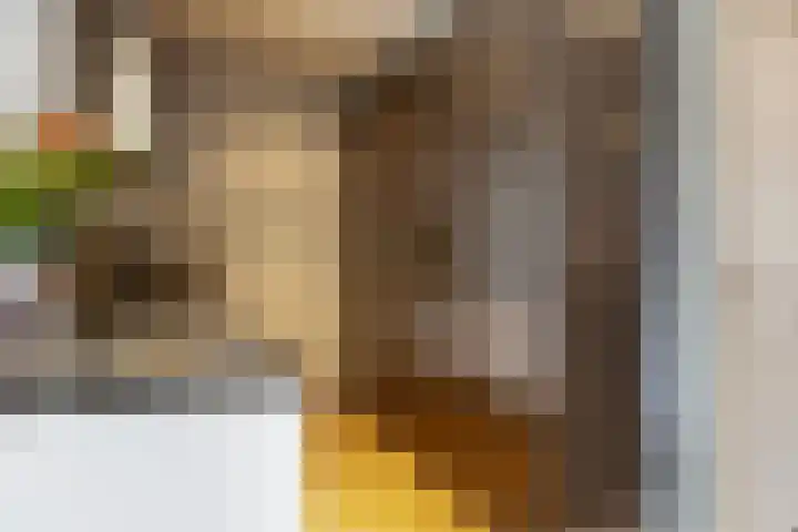 Ter Hofstadlaan 29 Someren thumbnail 11