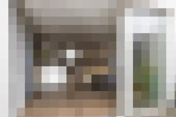 Ter Hofstadlaan 29 Someren thumbnail 13