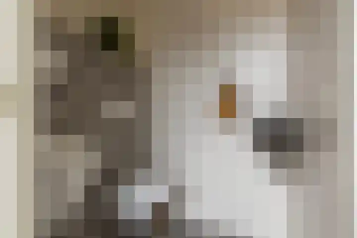 Ter Hofstadlaan 29 Someren thumbnail 15