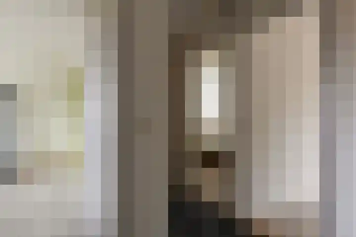 Ter Hofstadlaan 29 Someren thumbnail 16