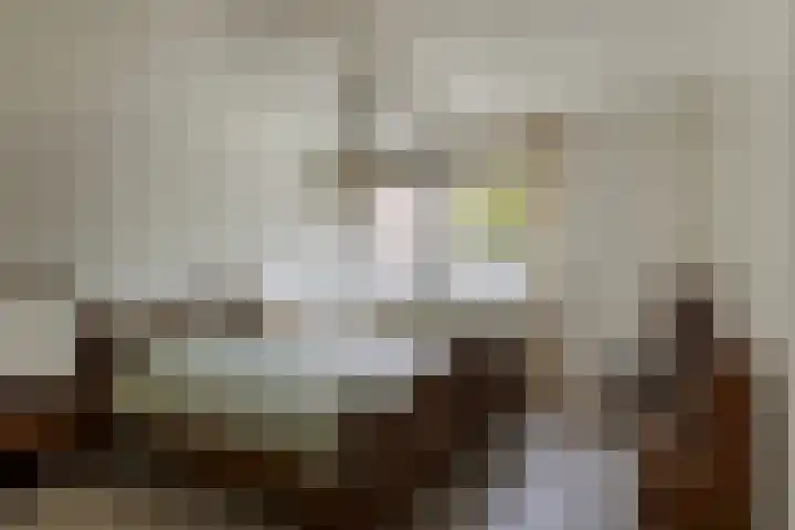 Ter Hofstadlaan 29 Someren thumbnail 17