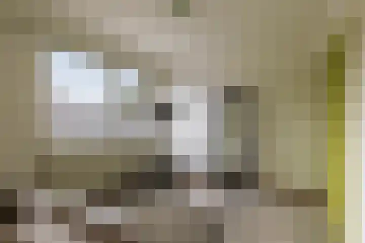 Ter Hofstadlaan 29 Someren thumbnail 18