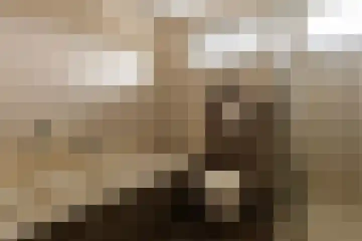 Ter Hofstadlaan 29 Someren thumbnail 20