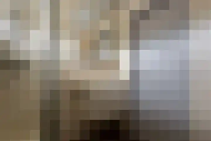 Ter Hofstadlaan 29 Someren thumbnail 21